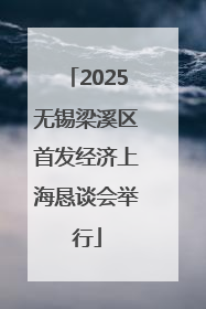 2025无锡梁溪区首发经济上海恳谈会举行