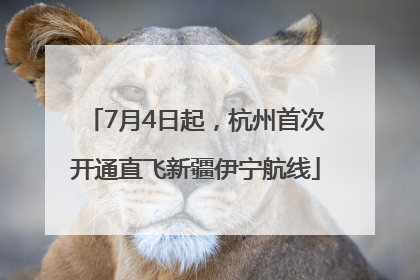 7月4日起，杭州首次开通直飞新疆伊宁航线