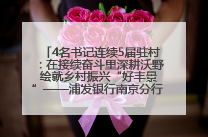 4名书记连续5届驻村：在接续奋斗里深耕沃野 绘就乡村振兴“好丰景”——浦发银行南京分行助力脱贫攻坚、帮促乡村振兴记事（二）