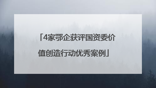 4家鄂企获评国资委价值创造行动优秀案例