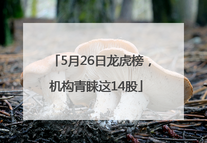5月26日龙虎榜，机构青睐这14股