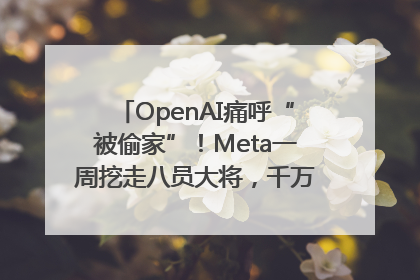 OpenAI痛呼“被偷家”！Meta一周挖走八员大将，千万美元薪酬战开打