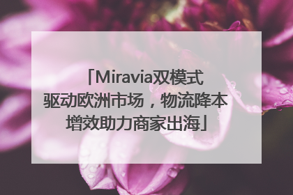 Miravia双模式驱动欧洲市场，物流降本增效助力商家出海