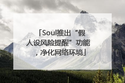 Soul推出“假人设风险提醒”功能，净化网络环境